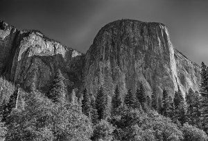 The gorgeous cliff face of El Capitan in Yosemite Natioal Park