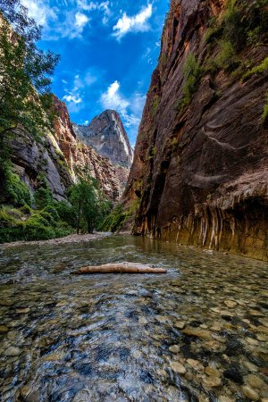 The entry way into The Narrows at Zion National Park