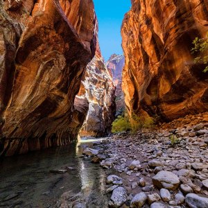 The river sits still in The Narrows of Zion National Park